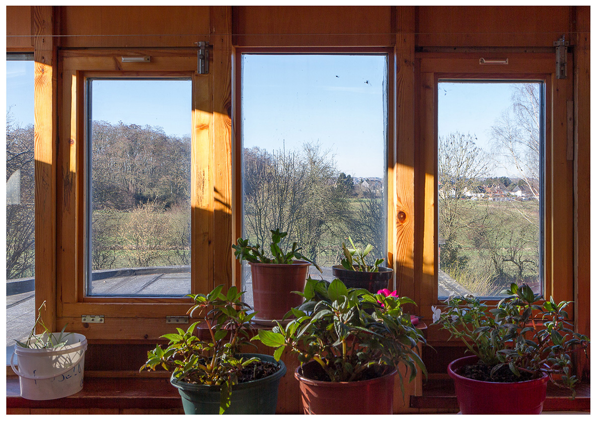 vue sur l'extérieur